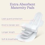 Lansinoh Extra Absorbent Maternity Pads