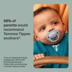 Tommee Tippee Closer to Nature Anytime Soother 2Pk (1)