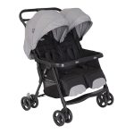 Graco Duorider Twin Stroller