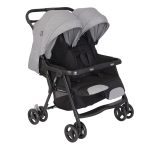 Graco Duorider Twin Stroller